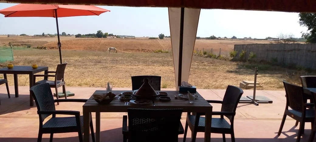 Domaine Sidi Omar - photo 1
